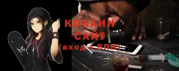 ГАЛЛЮЦИНОГЕННЫЕ ГРИБЫ Вязники