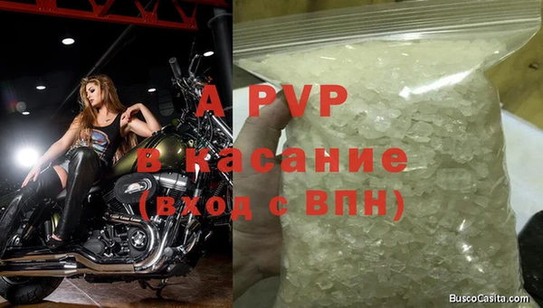 ГАЛЛЮЦИНОГЕННЫЕ ГРИБЫ Вязники