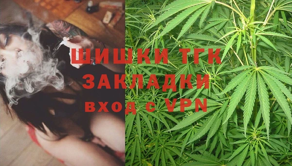 амф Вязьма