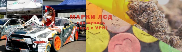 ГАЛЛЮЦИНОГЕННЫЕ ГРИБЫ Вязники